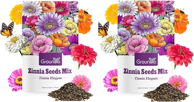 Groundio Zinnia Seeds, 2 Oz (2 Packs), Flowers Seeds for Planting, Wildflower Seeds Bulk, 5 Varieties Mixed Colors and Large Blooms, Open Pollinated, Non GMO Made in USA