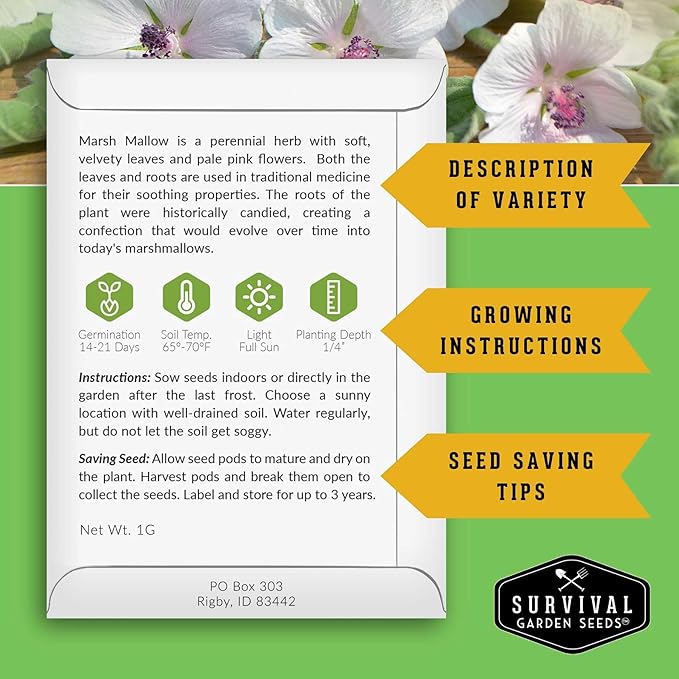 Marshmallow Seeds for Planting - Marsh Mallow Medicinal Herb, Althaea Officinalis, Traditional Root Plant for Herb Garden - Heirloom Non-GMO Open Pollinated - Survival Garden Seeds (5 Pack