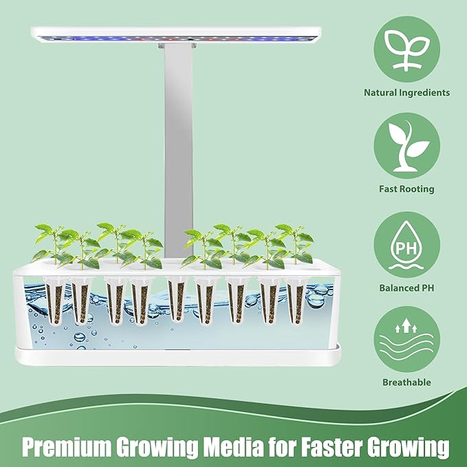 Spinach Seed Pods Kit for Hydroponic, 12 Pods Grow Anything Hydroponics Kit for Indoor Garden, Hydroponics Supplies with 12 Grow Sponges, 12 Plant Baskets, Spinach Seeds - 12 POD