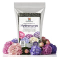 𝐁𝐄𝐒𝐓𝐒𝐄𝐋𝐋𝐄𝐑 Slow Release Hydrangea Fertilizer with Iron & Sulfur – Indoor & Outdoor Soil Acidifier for Miracle Growth [8 OZ]