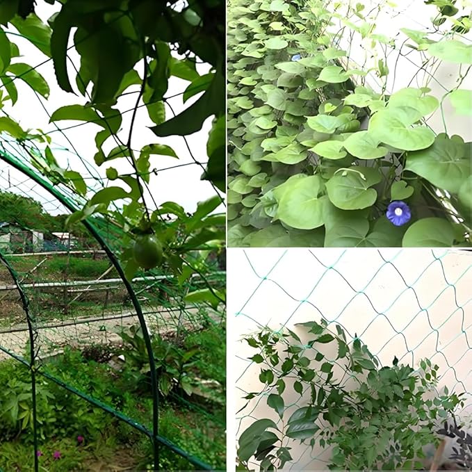 Garden Netting & Trellis Netting Garden Net for Climbing Plants Grape Tomato Green Bean Cucumber Trellis Outdoor Garden Trellis (6.6 ft x 16.4 ft)