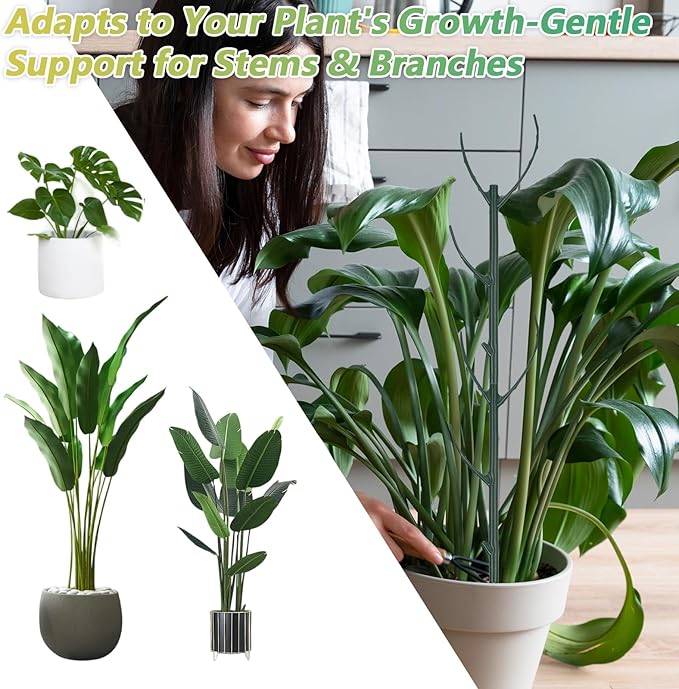 5Pcs Stackable Plant Support Stake Stem Holder Structures Frame & Plant Cage Support Ring Half Round for Sphagnum Twig Trellis Indoor Outdoor Potted Plants Stick for Vine Training & Stem Stabilization