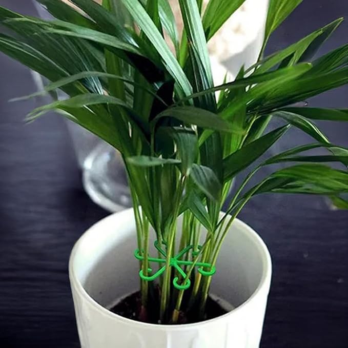 4Pcs Plant Stem Supports, Reusable Plastic Plant Accessories Indoor, Monstera Plant Support for Climbing Houseplants, Stakes Trellis Stem Hook Growth Tools for Neat Garden Arrangement(Green)