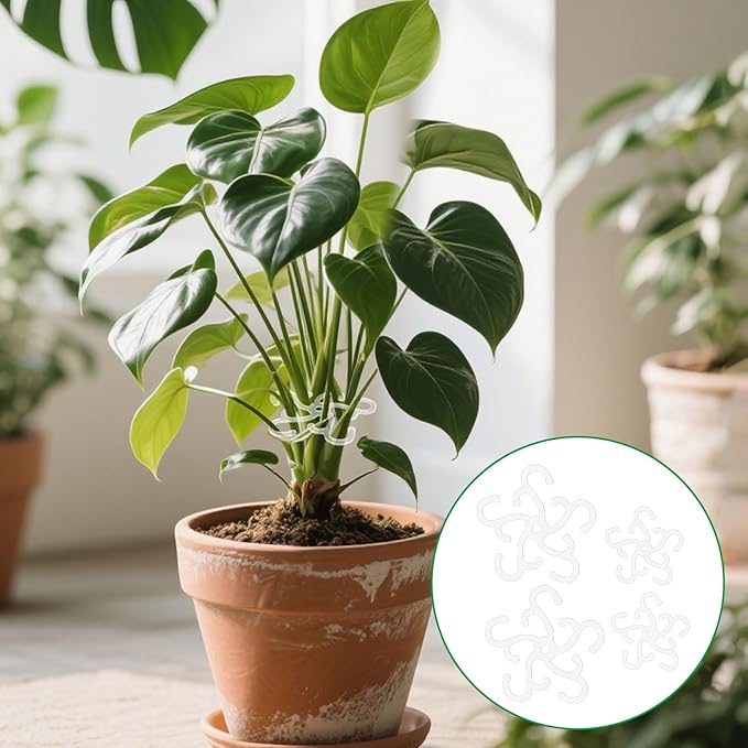 BOXOB 4pcs Plant Stem Support, 2 Sizes Climbing Houseplant Stem Holder Hook Monstera Support Plant Stabilizer for Indoor Outdoor Thriving Growth