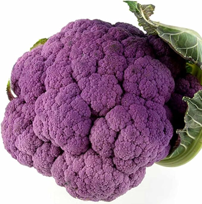 Graffiti Hybrid Cauliflower Garden Seeds - 100 Seeds - Non-GMO, Purple - Vegetable Gardening Seed by Mountain Valley Seed