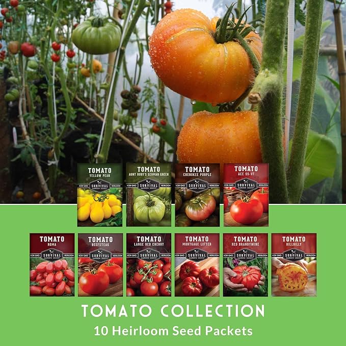 Tomato Seeds 10 Variety Pack for Planting - Cherokee Purple, Roma, Cherry, Aunt Ruby's Green, Hillbilly, Mortgage Lifter, Brandywine, & More - Non-GMO Heirloom Tomatoes - Survival Garden Seeds