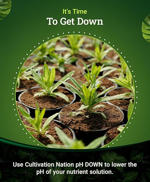 FoxFarm Cultivation Nation pH Down for Plants’ Nutrient Solutions - Formulated with Citric Acid for Adjustment - Ideal for Soil & Hydroponics, Lowers pH Levels of Nutrient Solution - 1 Pint