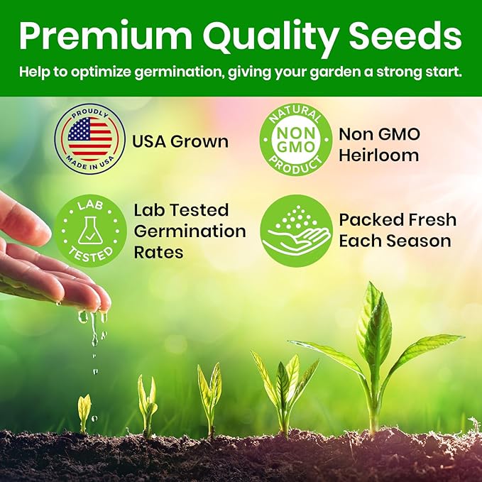 Artichoke Seeds for Planting, Green Globe Artichoke Seeds, High Germination Rates, Heirloom, Non-GMO