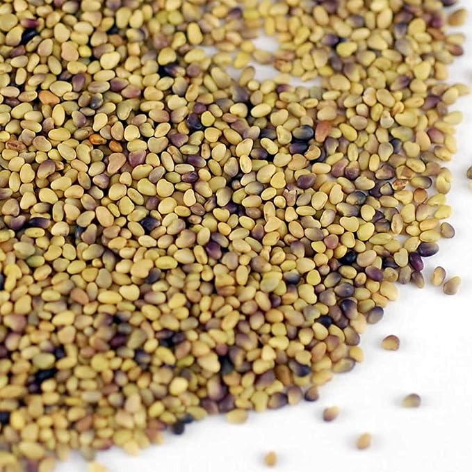 Organic Red Clover Sprouting Seeds by Handy Pantry Brand - 1 Lb Resealable Bag - Sprouts, Microgreens, Gardening, Food Storage, Hydroponics - Edible Seed
