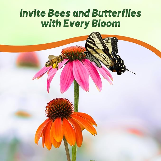 Outsidepride Cheyenne Spirit Echinacea Coneflower Seeds - 20 Pcs Perennial, Drought Tolerant Mix of Purple Coneflower Seeds for Planting, Attracts Birds & Butterflies for Xeriscape (AAS Winner)