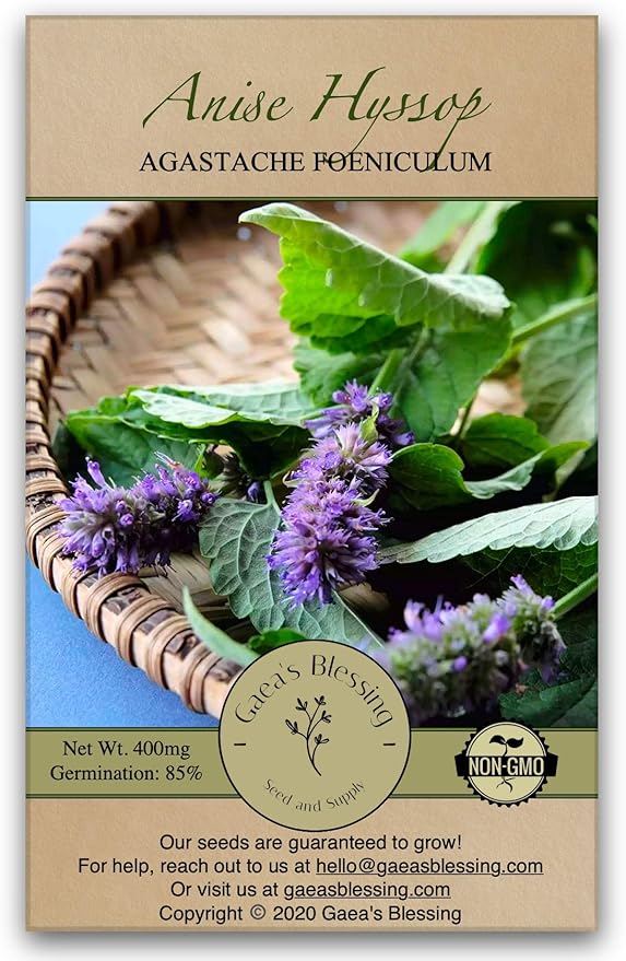 Gaea's Blessing Seeds - Anise Hyssop Herb Seeds - Non-GMO Seeds with Easy to Follow Planting Instructions - Open-Pollinated Heirloom High Germination Rate 96% Germination Rate 400mg