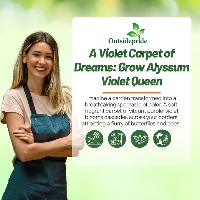 Outsidepride Violet Queen Alyssum Seeds - 10000 Pcs Annual, Drought-Tolerant & Pollinator-Friendly Ground Cover Seeds w/Fragrant Purple Blooms for Low-Growing Xeriscaping & Outdoor Planting