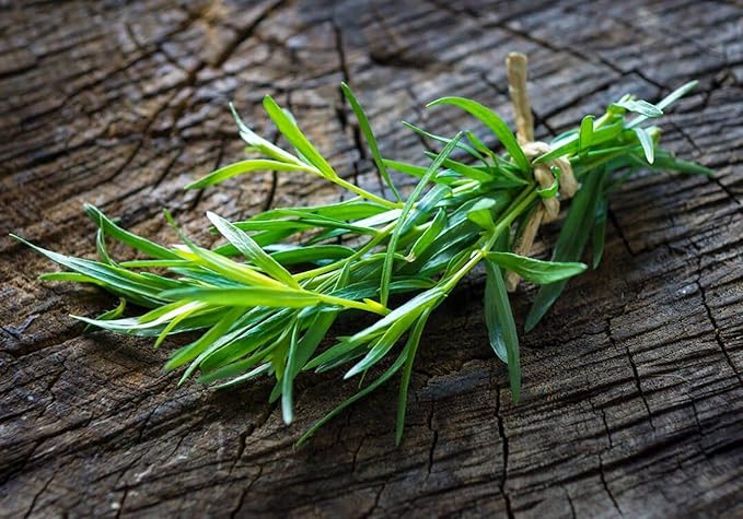 Seeds4planting - Seeds French Tarragon Herb for Planting