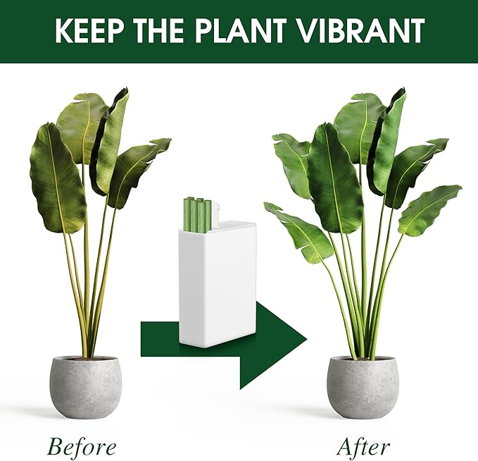Enhon Fertilizer Spikes, 54 Plant Growth Food Spikes for Indoor & Outdoor, Growth Plant Food Sticks for Castor Bean, Spider Plant, Pothos, Ferns (3 Pack)