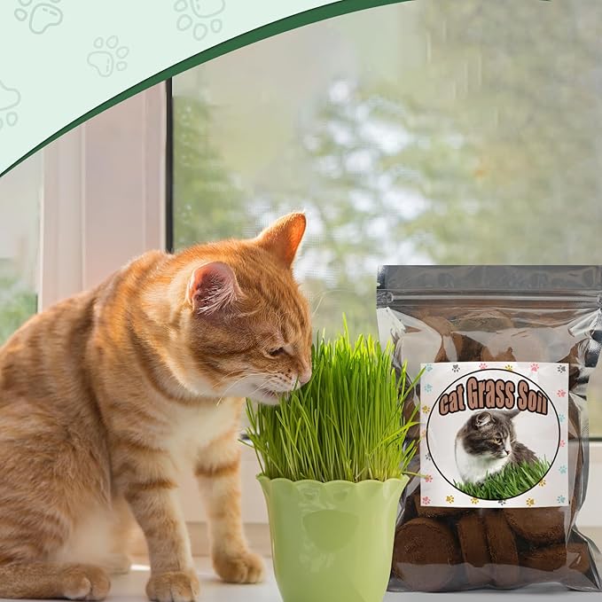 Organic Potting Soil for Indoor Cat Grass, Great Seedling Soil for Wheat Grass, Bermuda, Catnip, and All Indoor Herb Plants