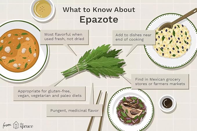 Live Epazote Plant/Mexican Tea. Year's Supply. Family Pack. Helps Immunity, Digestion, Metabolism. Flavorful, Pungent, Fresh, Edible. Easy Grow. Indoor/Outdoor. (2 Epazote in Sac)
