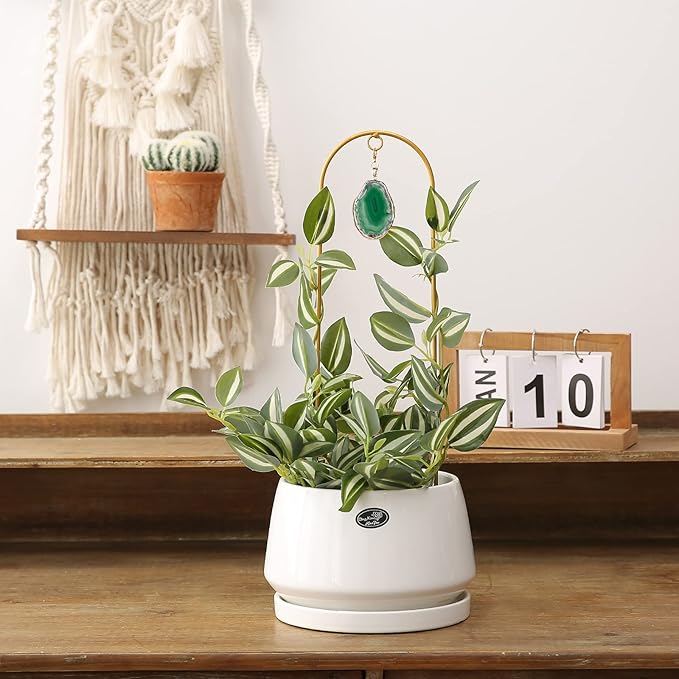 2PCS Small Gold Trellis for Climbing Plants Indoor, Mini Metal Houseplant Climber Support for Potted Plants, Boho Decorative Pot Lattice with Agate for Hoya, Pothos, Ivy, Philodendron