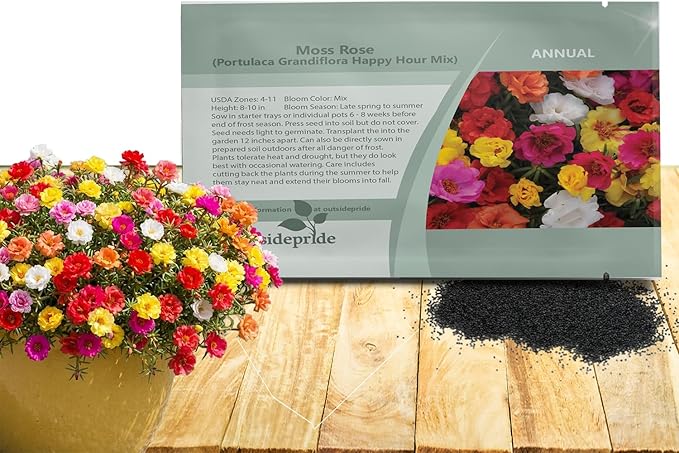 Outsidepride Happy Hour Mixed Moss Rose Seeds - 250 Pcs Annual, Drought & Heat Tolerant, Pollinator Friendly Ground Cover Seeds for Planting w/Vibrant Blooms & Succulent Foliage, for Xeriscaping