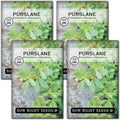Sow Right Seeds - Purslane Seeds for Planting - Non-GMO Heirloom Packet with Instructions to Grow an Outdoor or Indoor Vegetable Garden - Rare Edible & Culinary Variety - Medicinal Benefits & Uses (4)
