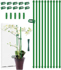 Plant Stakes,MAFONE 10Pcs 15In Monstera Plant Support Orchid Sticks Extended to 2/3/4ft, Plant Sticks Support Tall for Monstera,Orchids,Tomatoes,Vines & Indoor Outdoor Plants