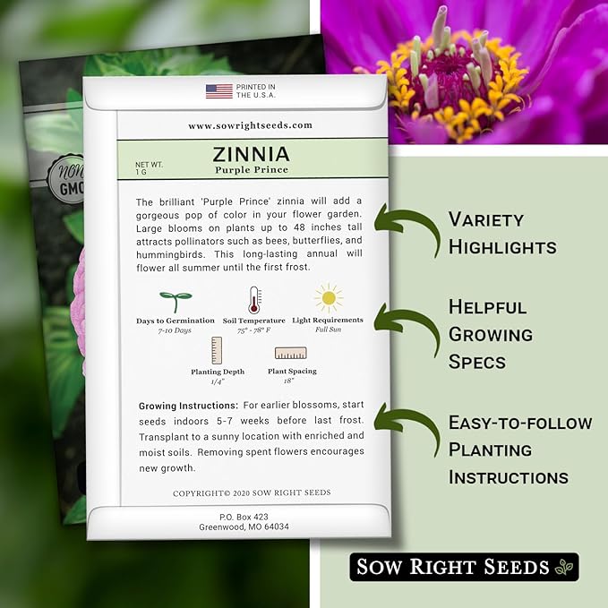 Sow Right Seeds - Luminosa Zinnia Flower Seeds for Planting - Non-GMO Heirloom Packet with Instructions to Grow - Heat & Drought Resistant - Huge Pink Blossoms - Beautiful to Plant in Your Garden (3)