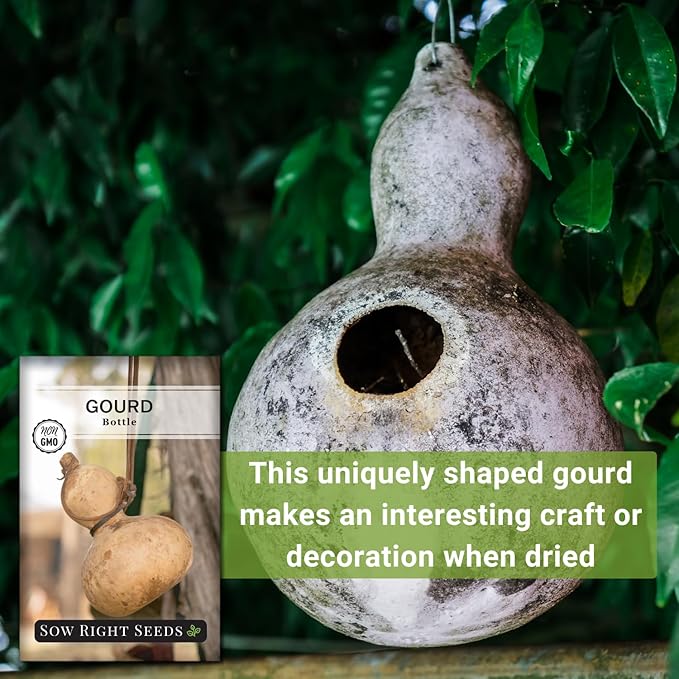 Sow Right Seeds - Bottle Gourd Seed for Planting - Non-GMO Heirloom Packet with Instructions to Plant and Grow an Outdoor Home Vegetable Garden - Ornamental Birdhouse Gourd for Crafting and Decor (1)