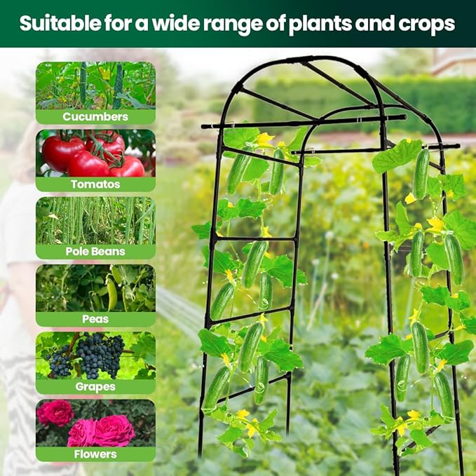 6.6ft Garden Arch Trellis | Walk-Through Plant Support for Climbing Vines Flowers Vegetables Grapes and Tomatoes, Sturdy Outdoor Metal Arbor for Raised Beds
