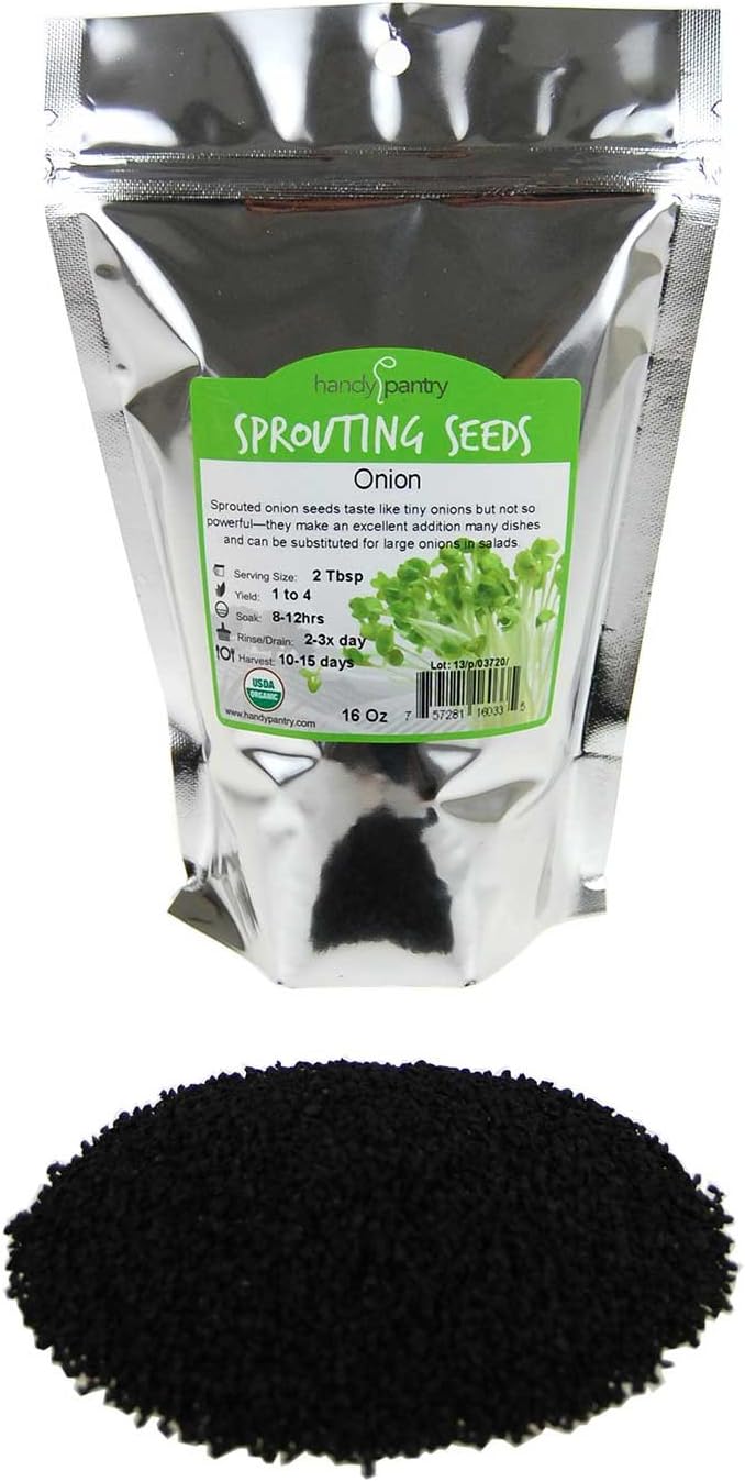 Onion Sprouting & Microgreens Seeds – 1 LB – Non-GMO, Chemical-Free – High-Germination Seeds for Fresh Onion Sprouts, Flavorful Micro Greens, Hydroponic Growing, and Indoor Gardening