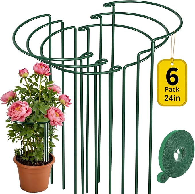AMAGABELI GARDEN & HOME 6 Pack Plant Support Stakes 10" W x 24" H Heavy Duty Half Round Peony Cage Metal Garden Support Structures Plant Cage with Ties for Indoor Flower Tomato Hydrangea Monstera