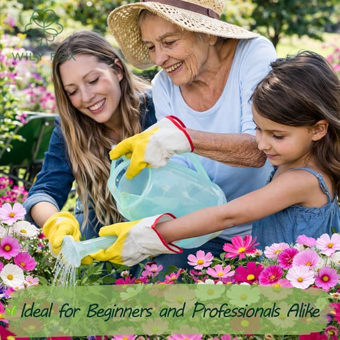 Cosmos Flower Seeds for Planting - 1000+ Heirloom Non-GMO Double Petal Mix - Large Blooms Annual Cut Flowers for Garden Beds, Borders & Bouquets