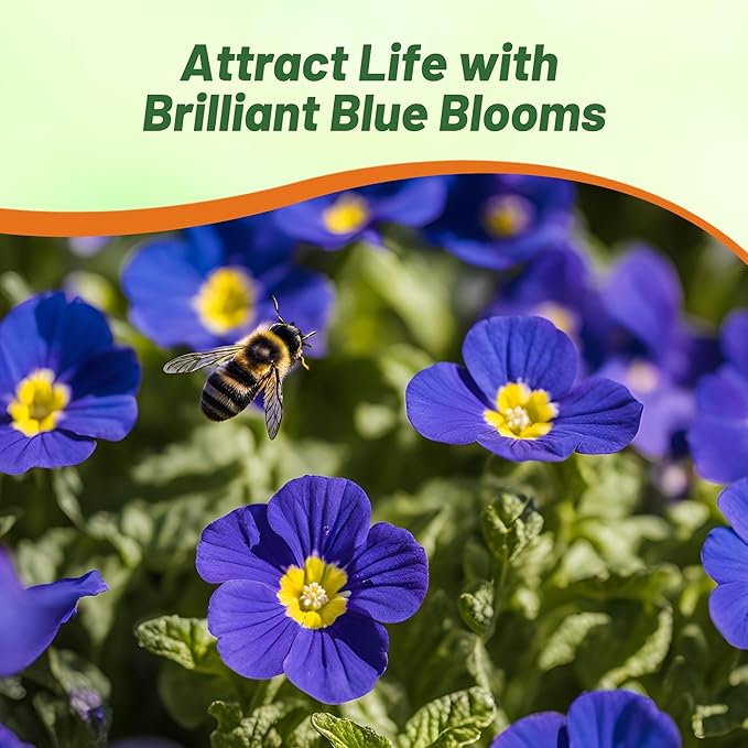 Outsidepride Blue Common Primrose Seeds - 200 Pcs Perennial, Hardy, Easy to Grow & Low Maintenance Flower Seeds for Planting Vibrant Soft Blue Blooms, for Containers, Borders & Erosion Control