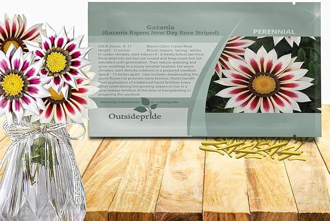 Outsidepride New Day Rose Striped Gazania Seeds for Planting – 50 Pcs Perennial, Low-Maintenance, Drought-Tolerant Ground Cover Seeds for Vibrant Summer & Fall Flowers, Great for Outdoor Gardens