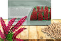 Outsidepride My Castle Red Russells Lupine Seeds - 1000 Pcs Perennial, Self-Sowing, Cold Hardy & Frost Tolerant Wildflower Seeds for Fall Planting, Ideal for Attracting Pollinators & Hummingbirds