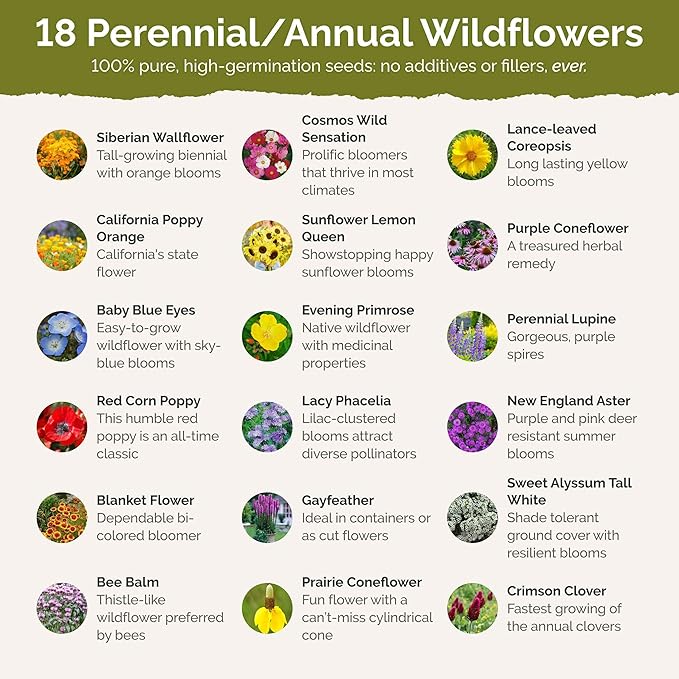 Eden Brothers Mississippi Wildflower Mixed Seeds for Planting, 1 oz, 30,000+ Seeds with Lupine, Sunflower | Attracts Pollinators, Plant in Spring or Fall, Zones