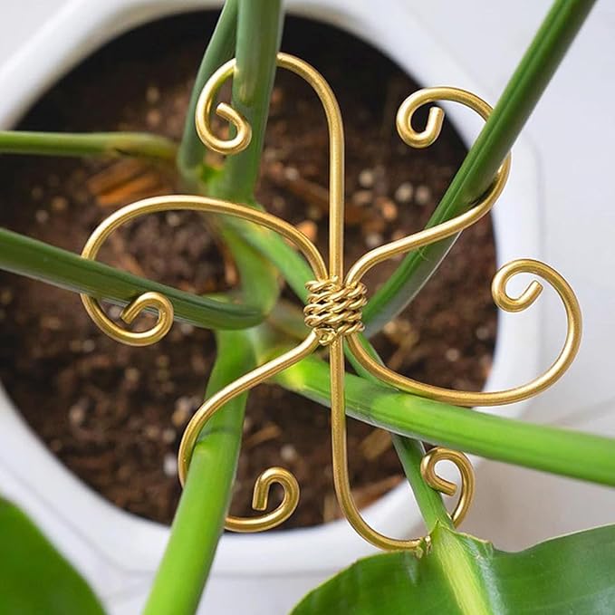 Iron Plant Stem Support Suitable for Plant Stems Turtleback Bamboo Clips, Indoor Growing Climbing Plants Supports, 5 PCS