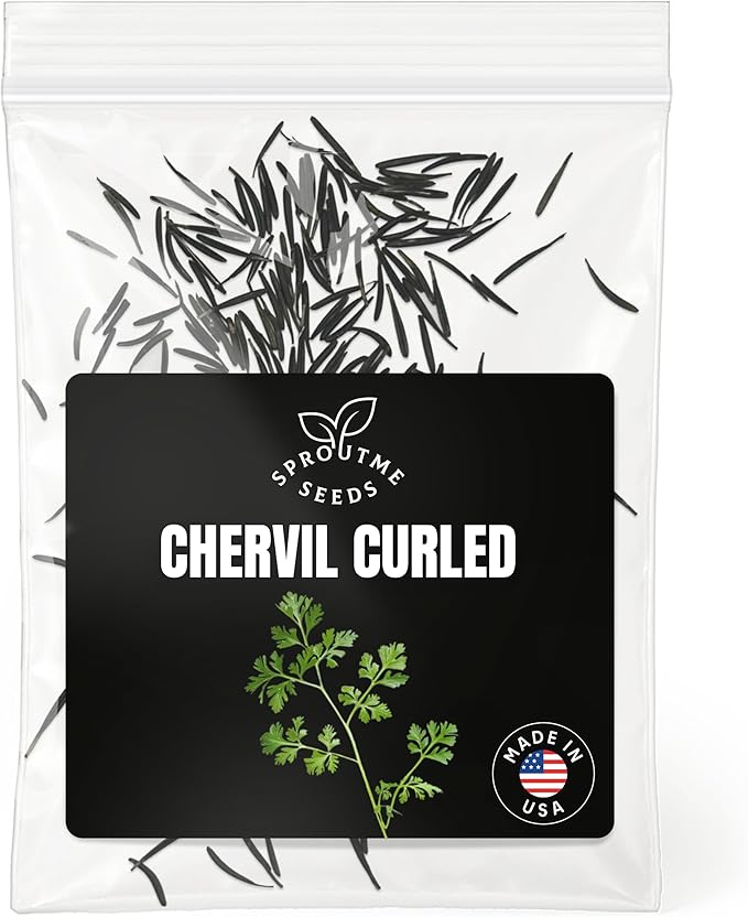 Fall & Winter Chervil Seeds for Indoor & Outdoor Planting – 300+ Non-GMO Heirloom USA-Grown Culinary Herb with Delicate Flavor, High Germination (Anthriscus cerefolium)