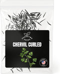 Fall & Winter Chervil Seeds for Indoor & Outdoor Planting – 300+ Non-GMO Heirloom USA-Grown Culinary Herb with Delicate Flavor, High Germination (Anthriscus cerefolium)