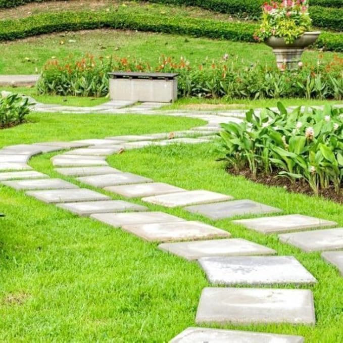 30000 Zoysia Grass Seeds for Lawn, Hardy Zoysia Seeds for Outdoor Gardens and Landscaping
