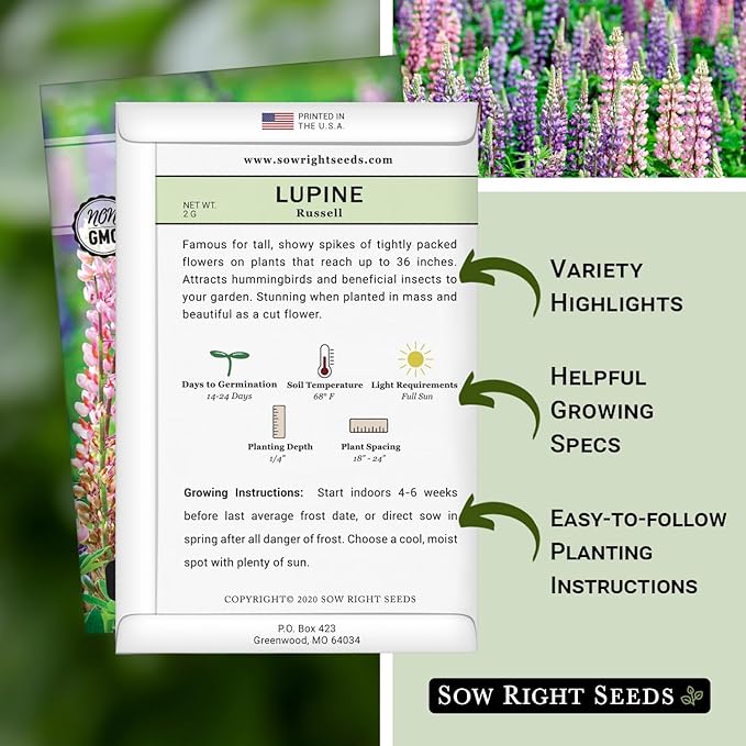 Sow Right Seeds - Russell Lupine Seeds for Planting - Non-GMO Heirloom Packet with Instructions to Plant in Your Garden - Perennial Flower to Attract Hummingbirds and Bees - Spiked Wildflower Mix (3)