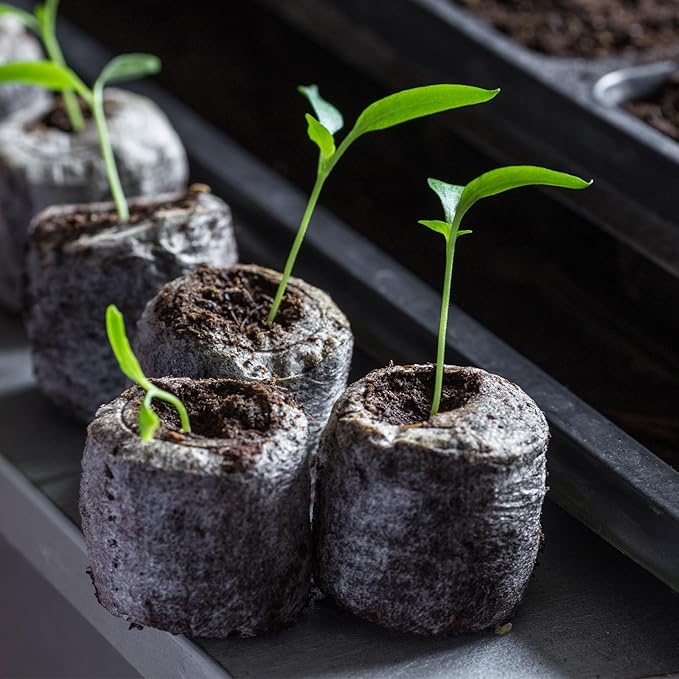 300 Pcs 50mm Seed Starter Peat Pellets Bulk for Compressed Seed Starting Pellets Seed Starter Pods Plugs Soil Peat Pods for Starting Seeds, Plant Transplant Grow Garden Flower Vegetables