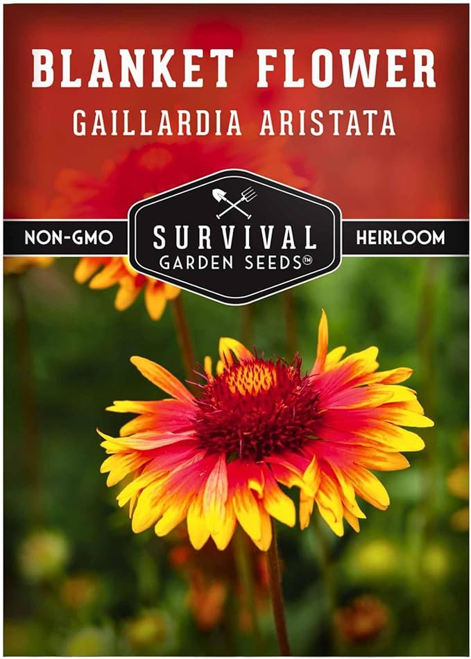 Blanket Flower Seeds for Planting - Perennial Gaillardia Aristata Firewheel Wildflower, Drought Tolerant Native Flower Seeds - Survival Garden Seeds (1 Pack)