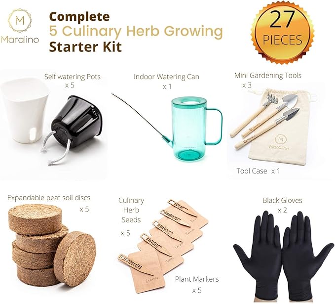 5 Herb Garden Kit Indoor - Kitchen Windowsill Self Watering Herb Garden Kit Indoor Starter Set Grow Organic Seeds Basil, Cilantro, Chives, Thyme, Lemon Balm (Melissa)