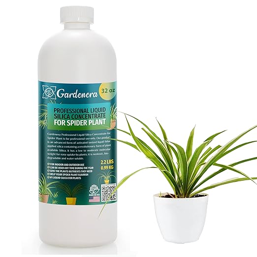 𝐏𝐑𝐎𝐅𝐄𝐒𝐒𝐈𝐎𝐍𝐀𝐋 Liquid Silica Plant Supplement - 32oz - Spider Plants Liquid Silica Boost Fertilizer - Stronger Stems & Healthy Leaves for Indoor & Outdoor Spider Plants (Makes 180 Gallons)