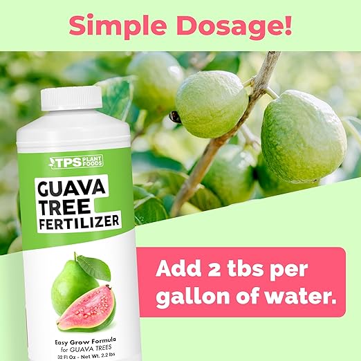 Guava Tree Fertilizer – Liquid Plant Food for More Fruit, Better Flowering & Stronger Root Development, 32 oz