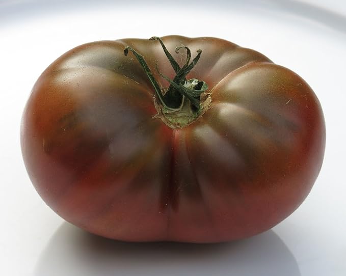 Seeds4planting - Seeds Tomato Black Elephant Giant Heirloom Vegetable Non GMO