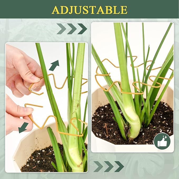 4 Pack Plant Stem Support, Adjustable Metal Monstera Plant Support Small 2PCS & Large 2PCS, Plant Supports for Indoor Plants Moss Pole Growth Plant Support Ring (Gold)