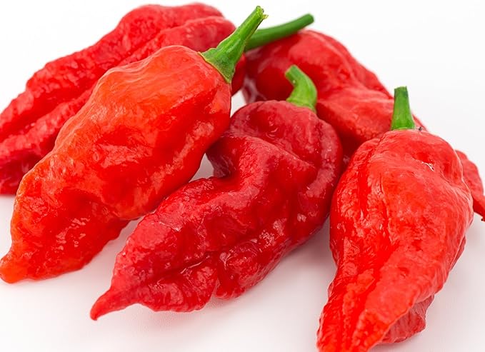 Ghost Pepper Seeds- 25+"Bhut Jolokia by Ohio Heirloom Seeds