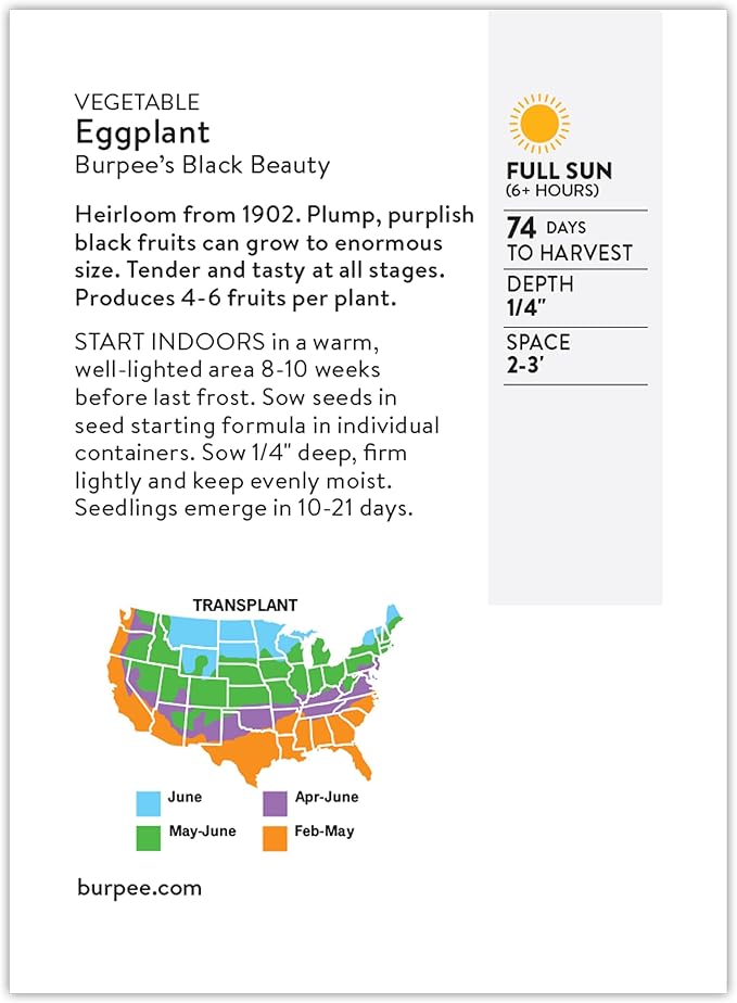 Burpee Heirloom Black Beauty Eggplant Seeds - Classic Large Globe Fruit