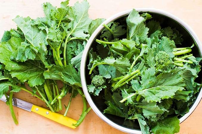 Broccoli Seeds-Raab, Rapini,25 Count COOL BEANS N SPROUTS Brand. Home Gardening.