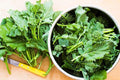 Broccoli Seeds-Raab, Rapini,25 Count COOL BEANS N SPROUTS Brand. Home Gardening.